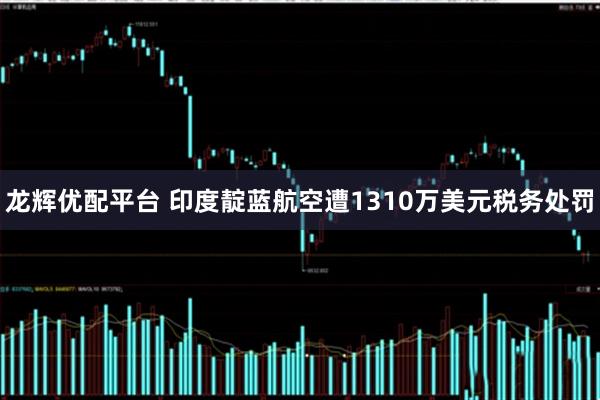 龙辉优配平台 印度靛蓝航空遭1310万美元税务处罚